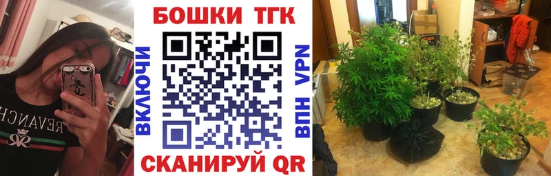 Какие есть наркотики Саки mega ONION Псилоцибиновые грибы Канабис КОКАИН