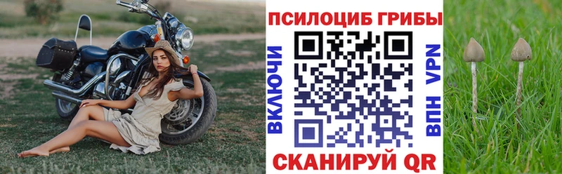 Псилоцибиновые грибы мицелий  где можно купить   mega зеркало  Саки 
