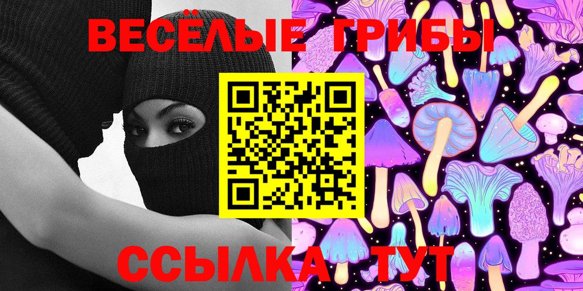 Галлюциногенные грибы Cubensis Саки